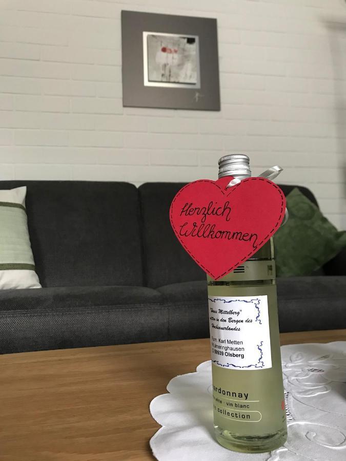 Haus Mittelberg Apartment Olsberg Luaran gambar