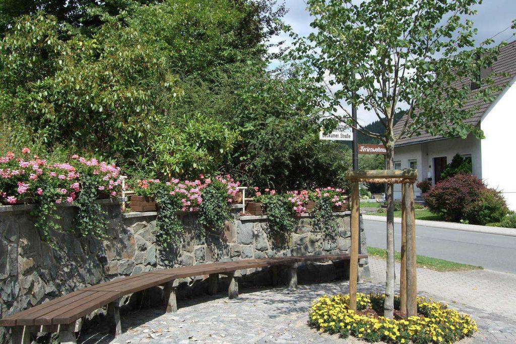 Haus Mittelberg Apartment Olsberg Luaran gambar