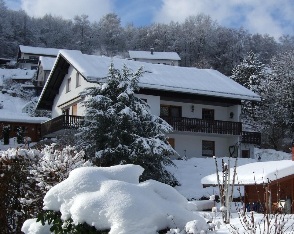 Haus Mittelberg Apartment Olsberg Bilik gambar