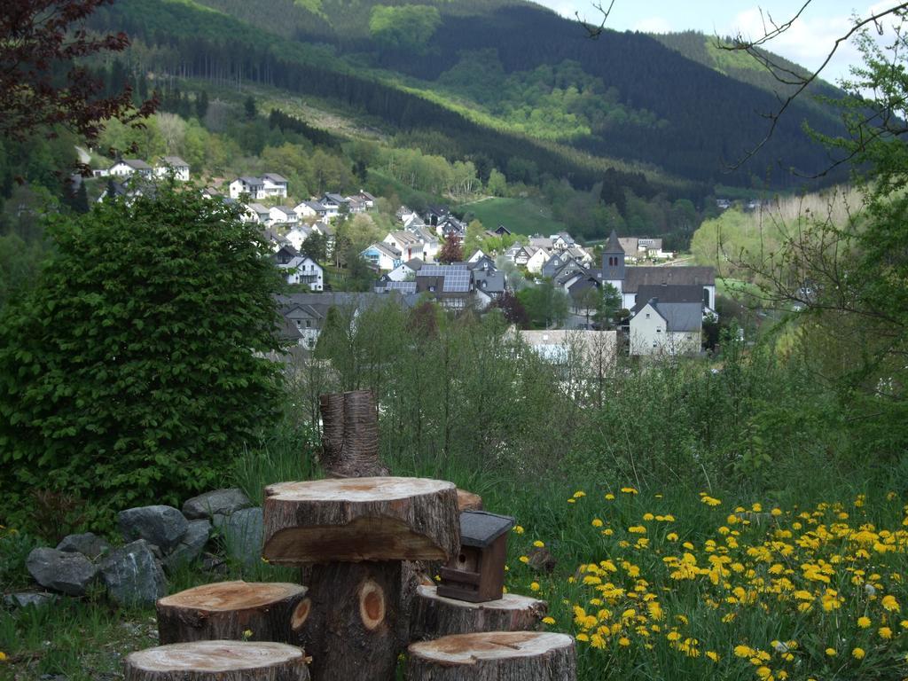 Haus Mittelberg Apartment Olsberg Bilik gambar