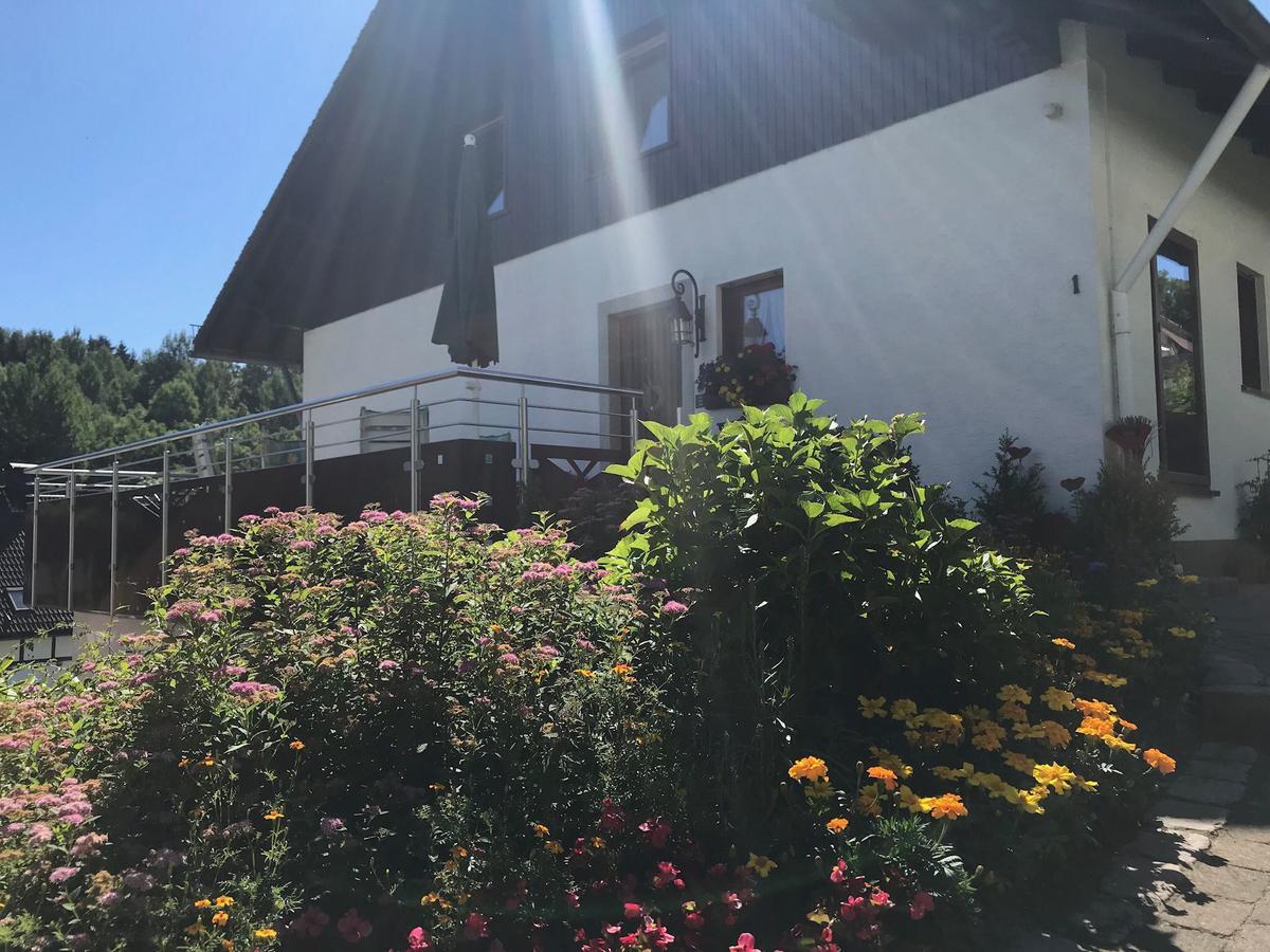 Haus Mittelberg Apartment Olsberg Luaran gambar